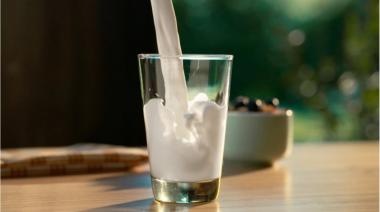 Destacan la importancia del consumo de leche fresca para una vida saludable