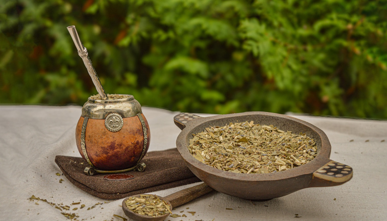 Se lanza la primera escuela dedicada exclusivamente al estudio de la yerba mate