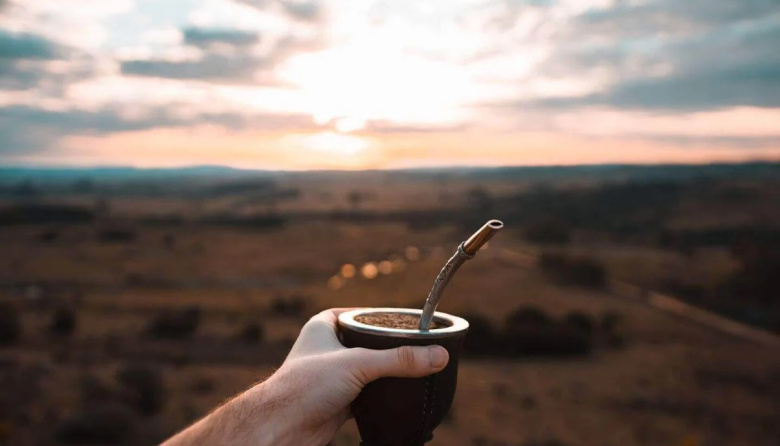 El mate como aliado del corazón: ayuda a cuidar las arterias y el metabolismo