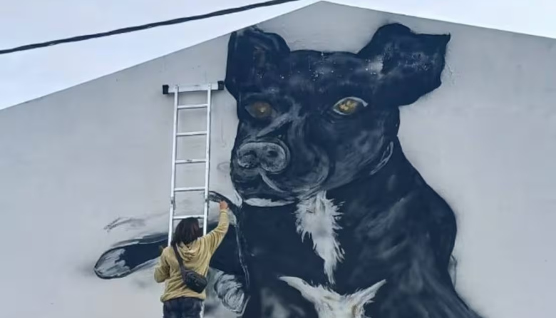 Estudiantes le hicieron un mural a Carbón, el perro que cuida y acompaña a toda una escuela