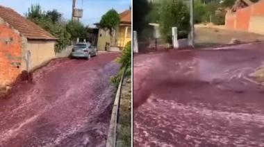Las calles de un pueblo de Portugal se inundaron de vino tinto
