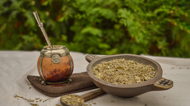 Se lanza la primera escuela dedicada exclusivamente al estudio de la yerba mate