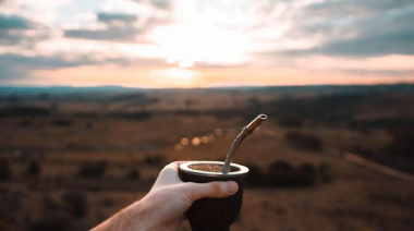 El mate como aliado del corazón: ayuda a cuidar las arterias y el metabolismo