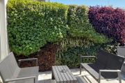 Cómo tener un balcón más verde en primavera y fresco en verano