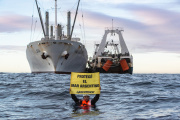 La pesca ilegal extrae hasta 3 millones de toneladas en aguas argentinas